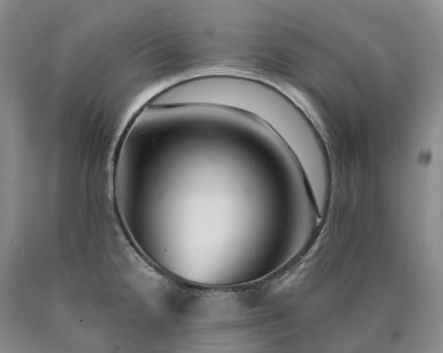 X0000090481238200707201409