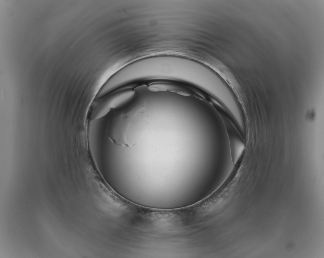 X0000090481242200707201409