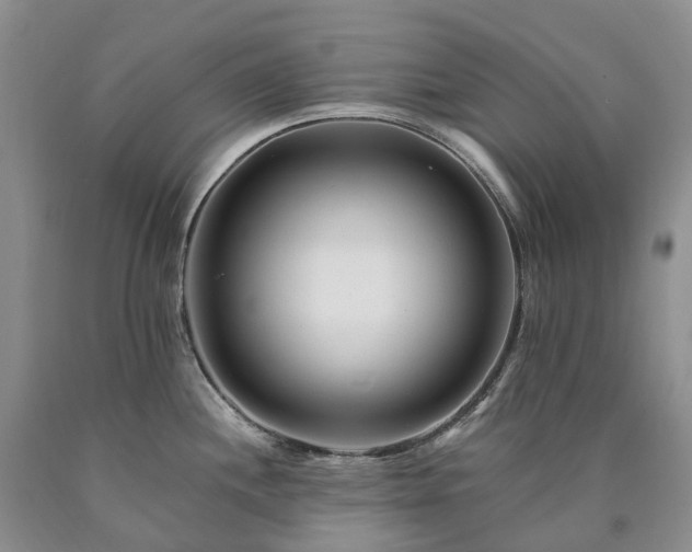 X0000090481244200707201409