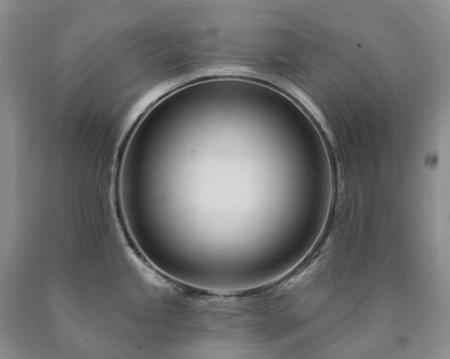 X0000090481245200707201409