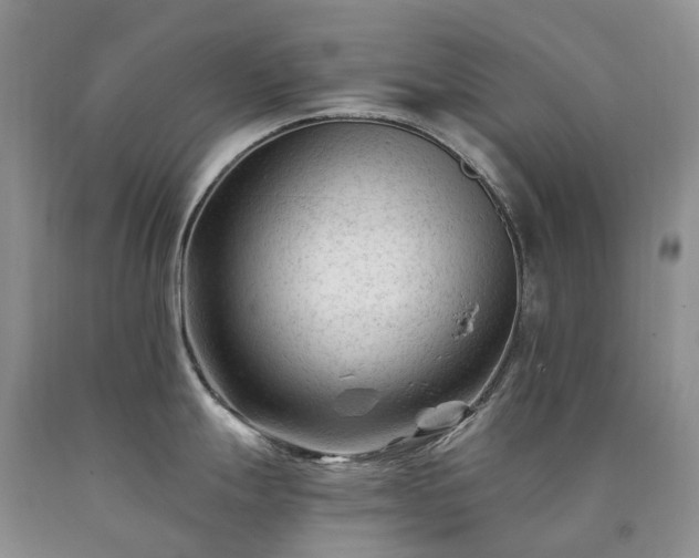 X0000090481247200707201409