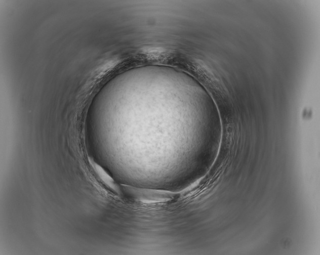 X0000090481249200707201408
