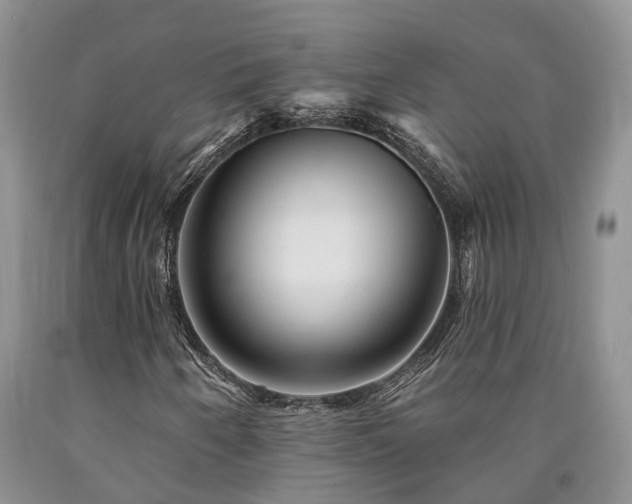 X0000090481250200707201408