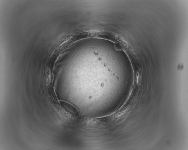 X0000090481251200707201408