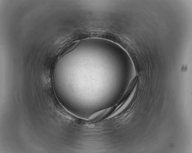 X0000090481252200707201408