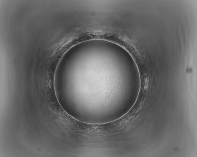 X0000090481253200707201408