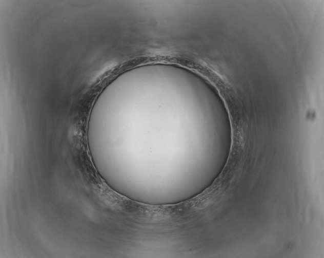 X0000090481254200707201408