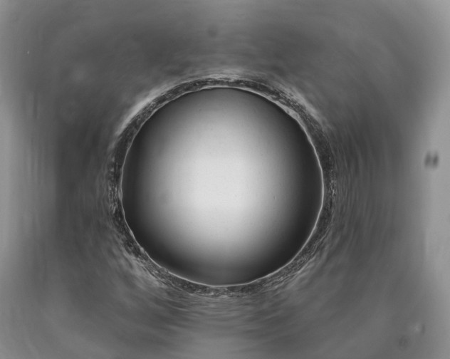 X0000090481256200707201408