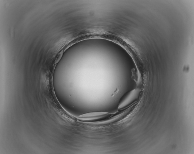 X0000090481257200707201408