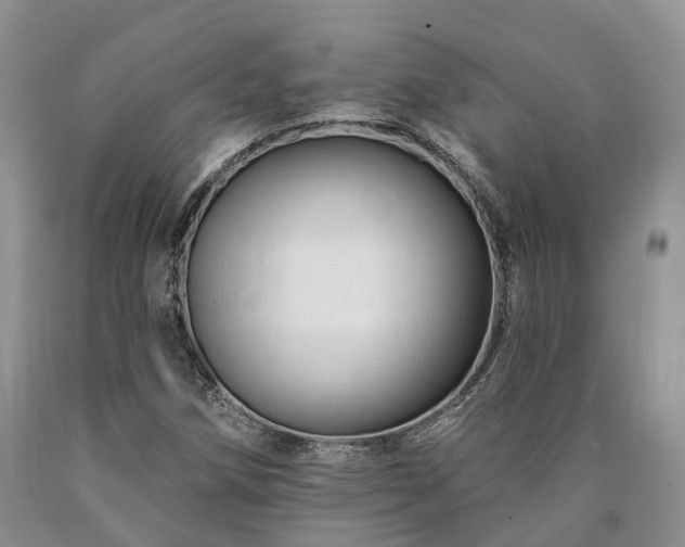 X0000090481258200707201408