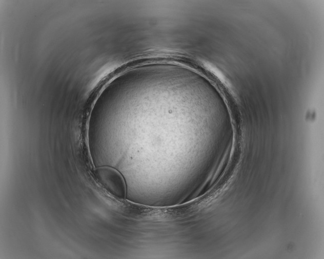 X0000090481259200707201408