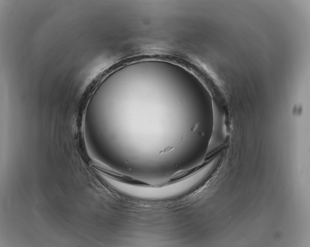 X0000090481261200707201408