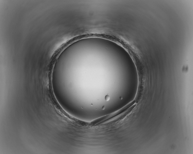 X0000090481262200707201408
