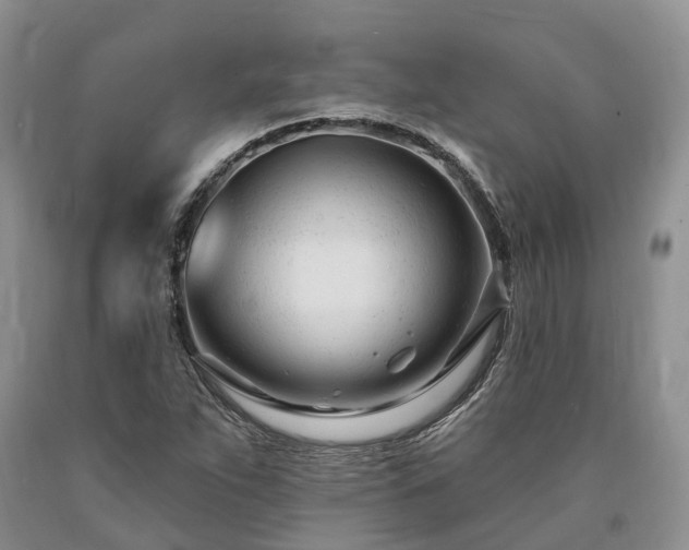 X0000090481263200707201408