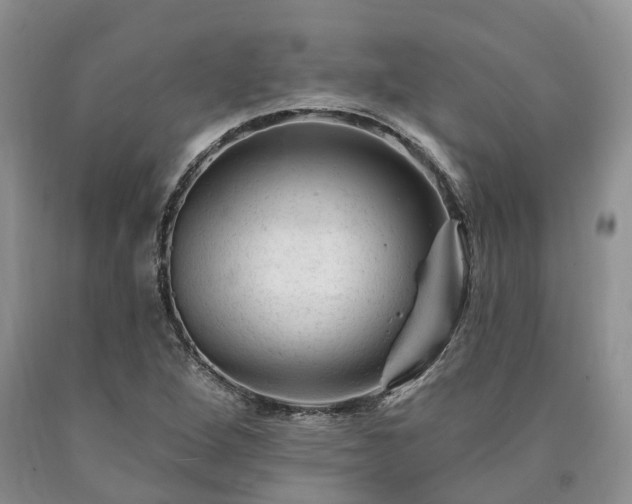 X0000090481264200707201408