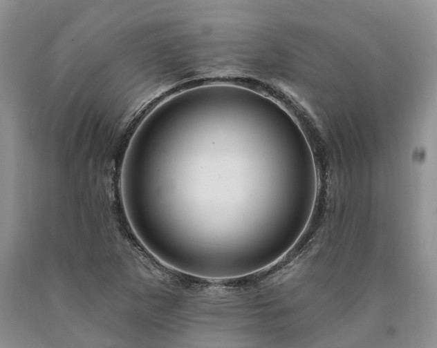 X0000090481265200707201408