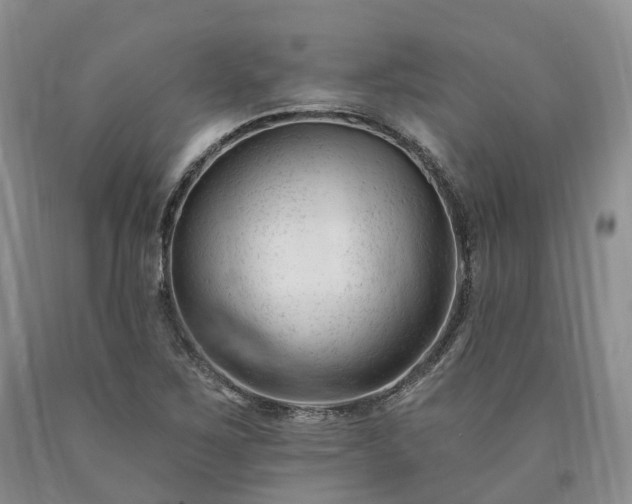 X0000090481267200707201408