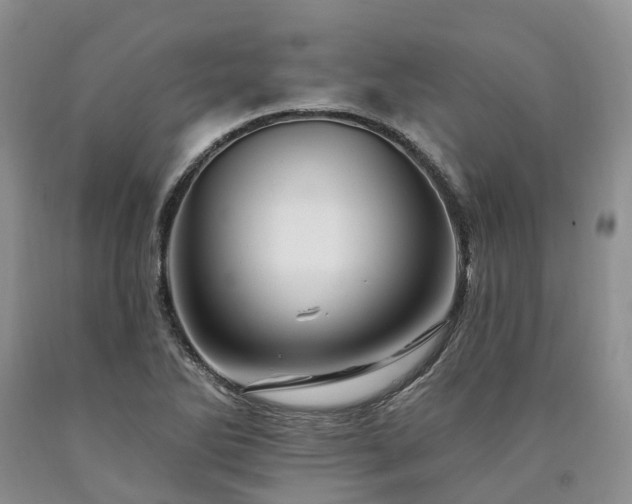 X0000090481270200707201408