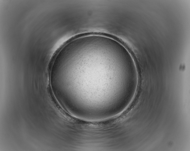 X0000090481271200707201408