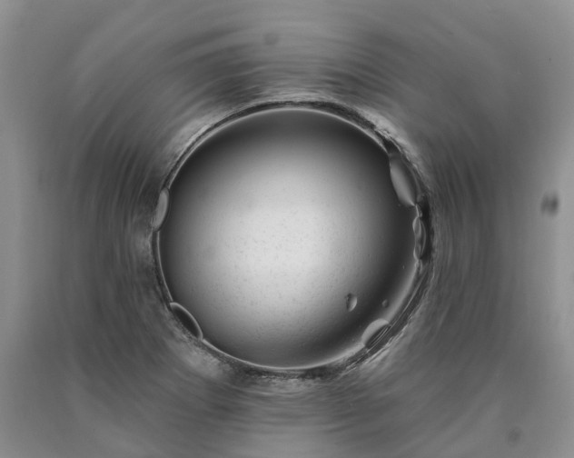 X0000090481273200707201408