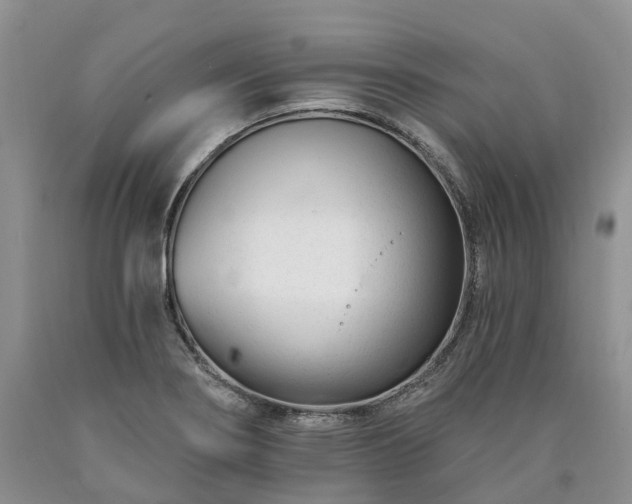 X0000090481274200707201408