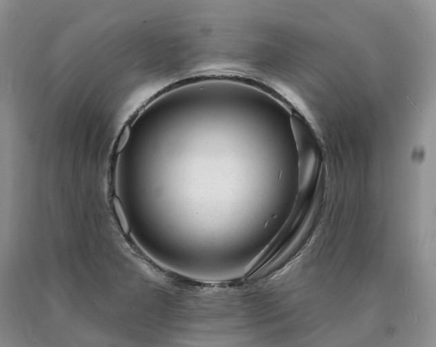 X0000090481277200707201408