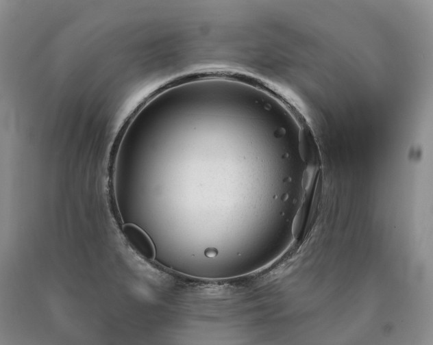 X0000090481279200707201408