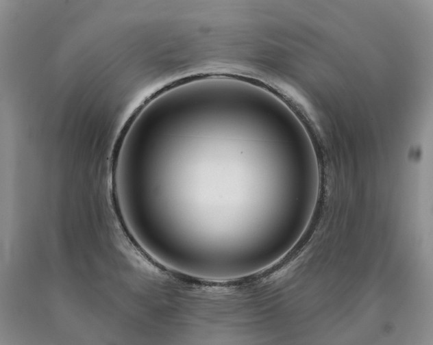 X0000090481280200707201408