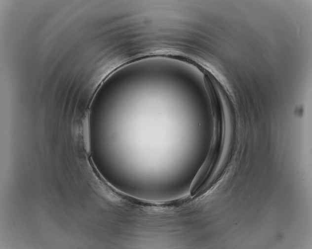 X0000090481281200707201408