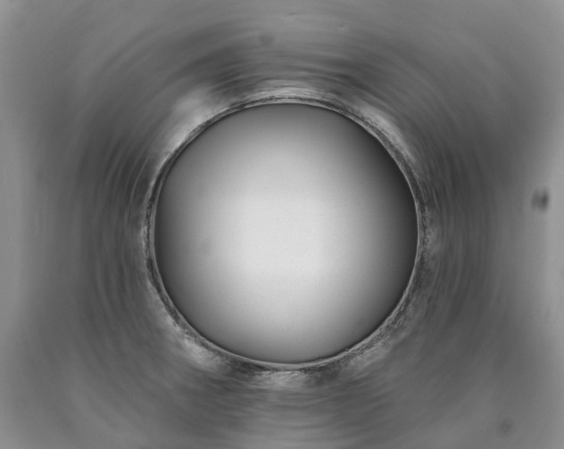 X0000090481282200707201408