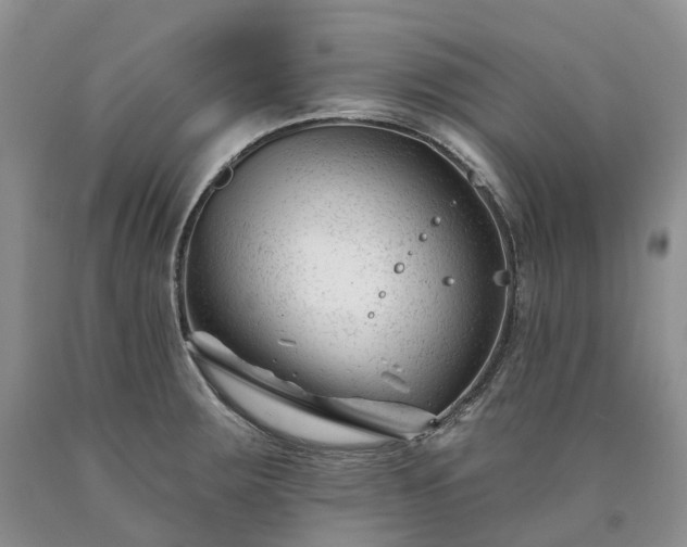 X0000090481283200707201408