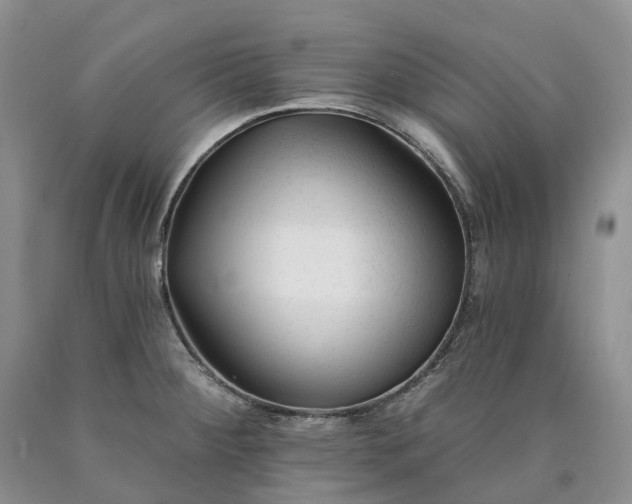 X0000090481284200707201408