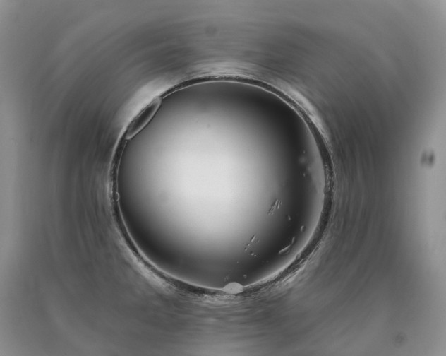 X0000090481285200707201408