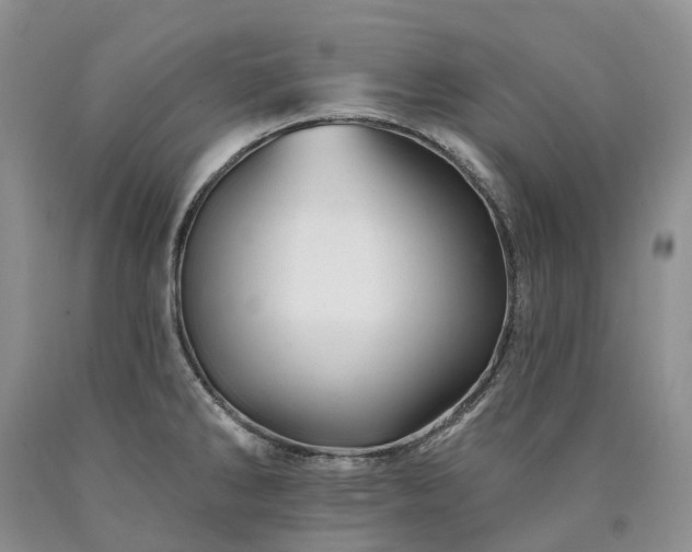 X0000090481286200707201408