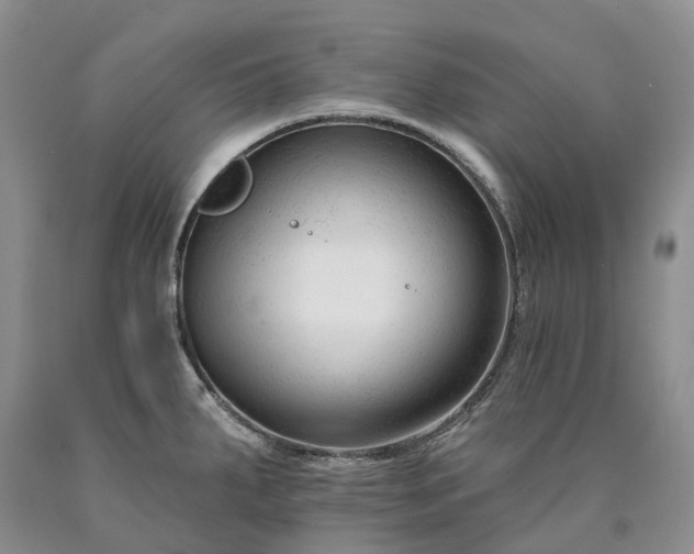 X0000090481287200707201408