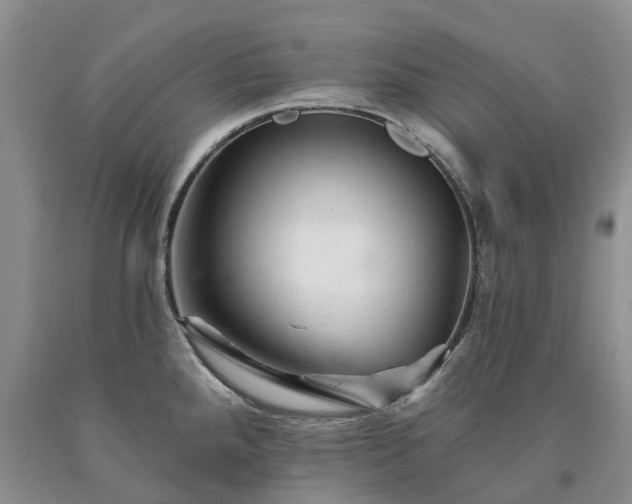 X0000090481288200707201408