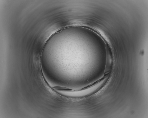 X0000090481289200707201408