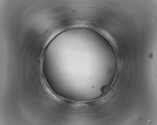 X0000090481290200707201407