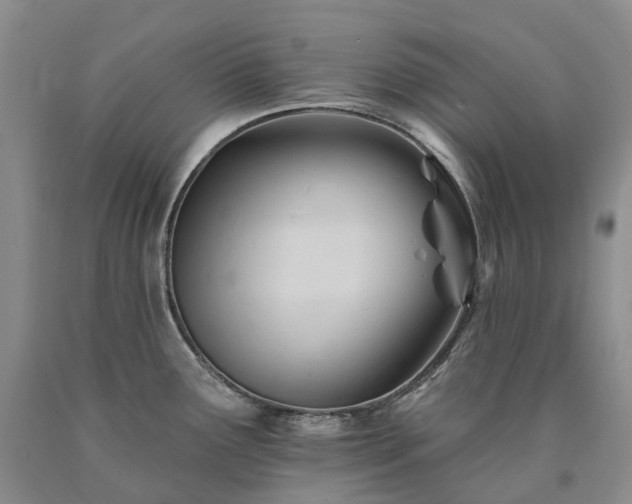 X0000090481291200707201407