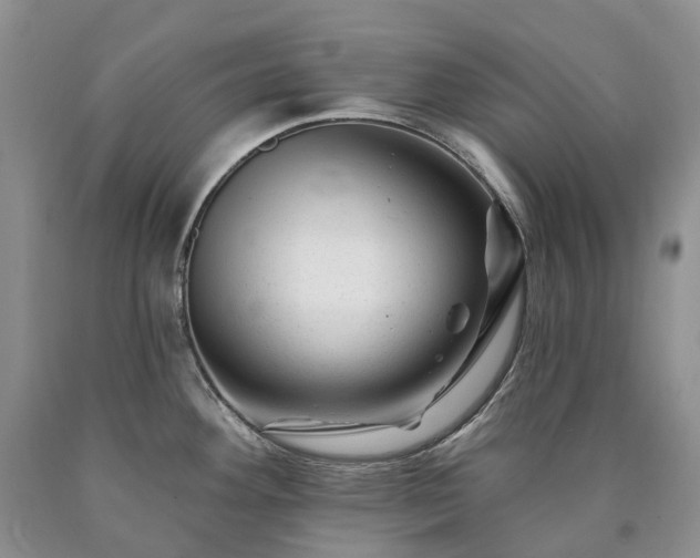 X0000090481292200707201407