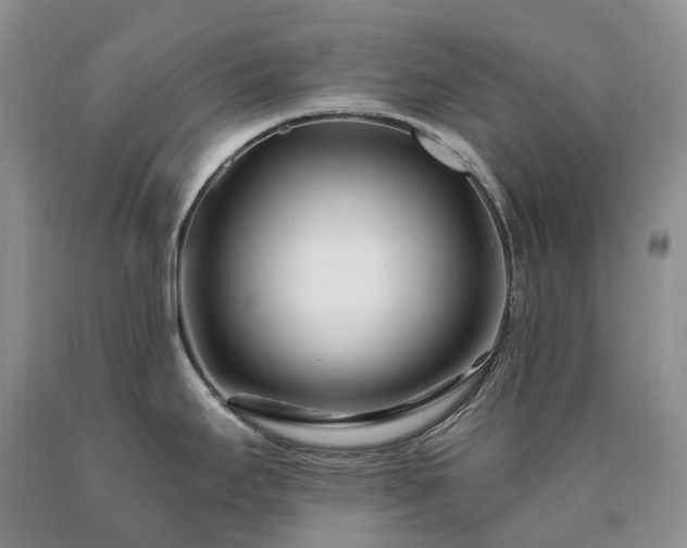X0000090481295200707201407