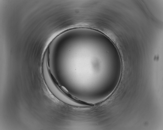 X0000090481296200707201407