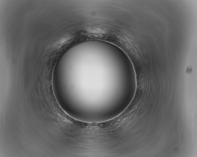 X0000090481297200707201407