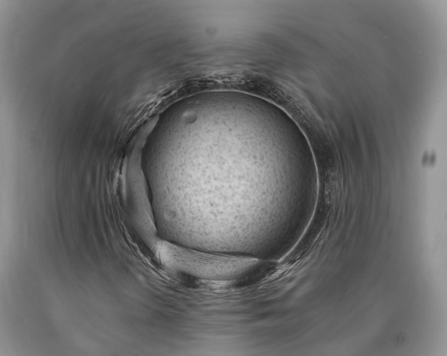 X0000090481298200707201407
