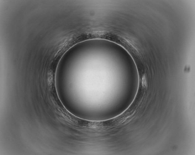 X0000090481299200707201407