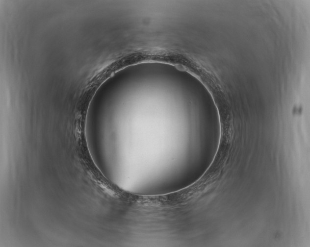 X0000090481301200707201407