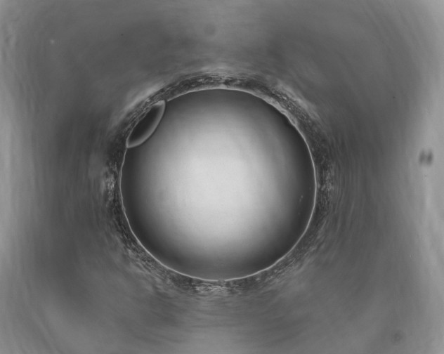 X0000090481302200707201407