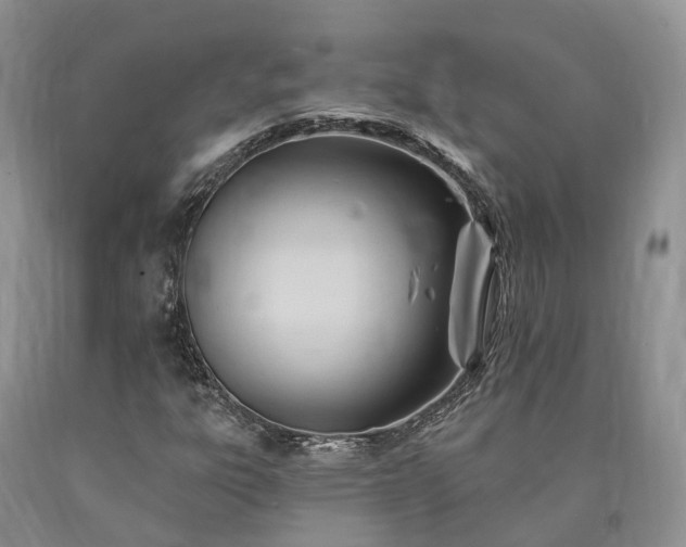 X0000090481303200707201407