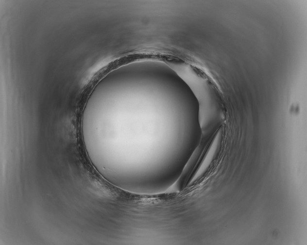 X0000090481304200707201407