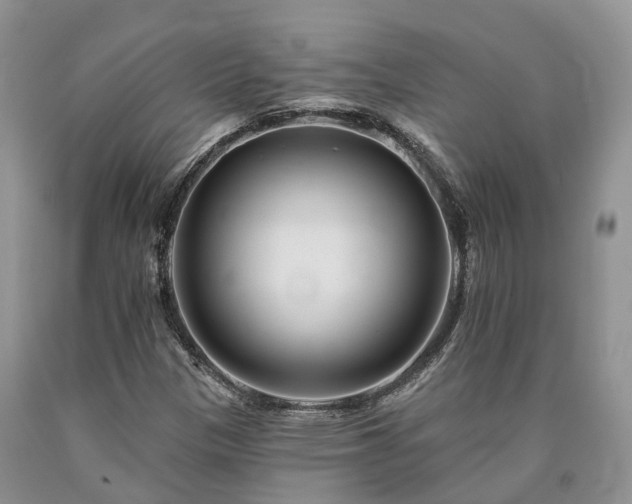 X0000090481305200707201407